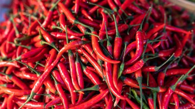 Pişirmek için kırmızı ve yeşil biber. Asya 'nın en ateşli biberi.