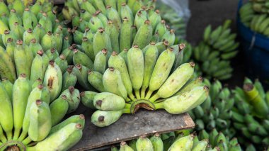 Organik yeşil muzları dünya pazarlarına satıyorum. Genç yeşil muzların yararlı özellikleri