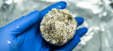 Dünyadaki eğlence amaçlı psilosibin mantarlarının yetiştirilmesi. Halüsinojenik mantarlar hakkında tıbbi haberler