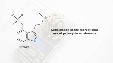 Psilosibin mantarlarının eğlence amaçlı kullanımının yasallaştırılması, psilosibin ve insan vücudu üzerindeki etkisi