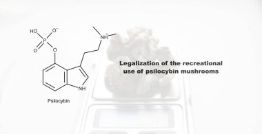 Psilosibin mantarlarının eğlence amaçlı kullanımının yasallaştırılması, psilosibin ve insan vücudu üzerindeki etkisi