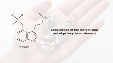Psilosibin mantarlarının eğlence amaçlı kullanımının yasallaştırılması, psilosibin ve insan vücudu üzerindeki etkisi