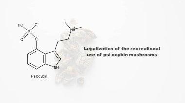 Psilosibin mantarlarının eğlence amaçlı kullanımının yasallaştırılması, psilosibin ve insan vücudu üzerindeki etkisi