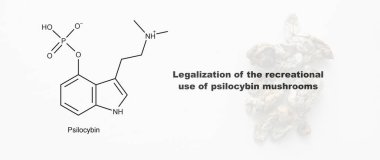 Psilosibin mantarlarının eğlence amaçlı kullanımının yasallaştırılması, psilosibin ve insan vücudu üzerindeki etkisi