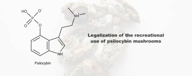 Psilosibin mantarlarının eğlence amaçlı kullanımının yasallaştırılması, psilosibin ve insan vücudu üzerindeki etkisi