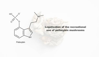 Psilosibin mantarlarının eğlence amaçlı kullanımının yasallaştırılması, psilosibin ve insan vücudu üzerindeki etkisi