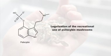 Psilosibin mantarlarının eğlence amaçlı kullanımının yasallaştırılması, psilosibin ve insan vücudu üzerindeki etkisi
