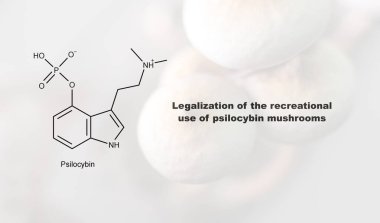 Psilosibin mantarlarının eğlence amaçlı kullanımının yasallaştırılması, psilosibin ve insan vücudu üzerindeki etkisi
