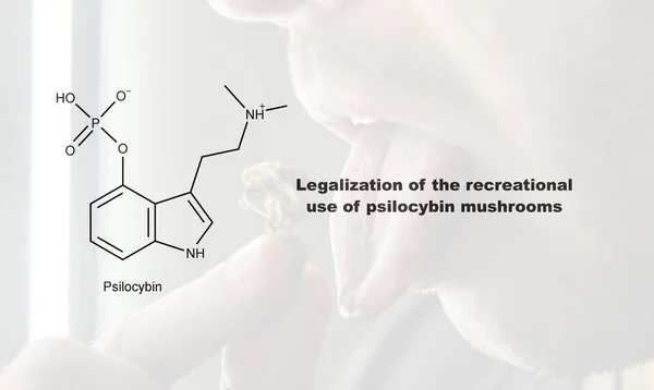 Legalization of the recreational use of psilocybin mushrooms, psilocybin and its effect on the human body