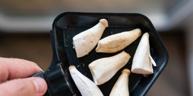 Bozkır istiridye mantarı pişirmek, yararlı eringi mantarları. Taşta mantar kızartıyorum.