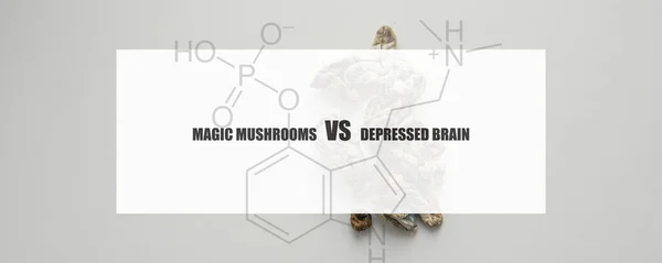 the effect of psilocybin on the mental state of a sick person. Treatment of depression with magic mushrooms