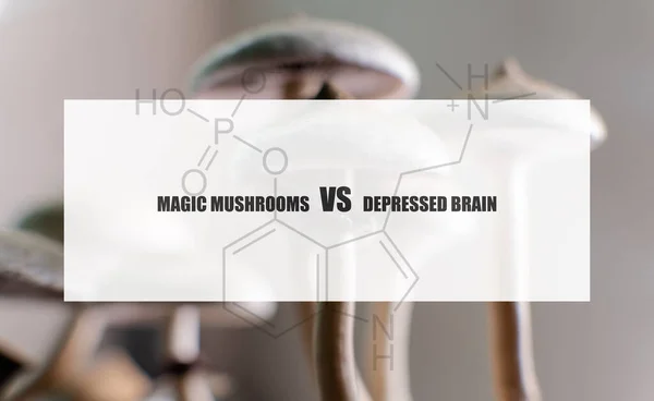 the effect of psilocybin on the mental state of a sick person. Treatment of depression with magic mushrooms