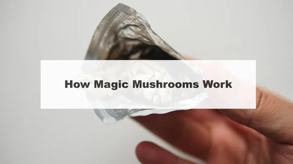 how do magic mushrooms work? the mechanism of psilocybin\'s action on the human body and brain