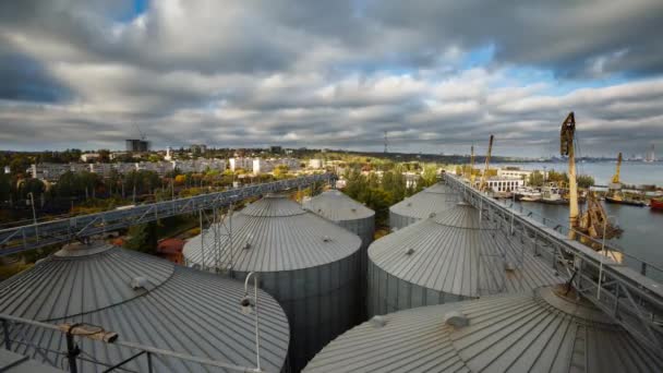 Modern grain terminal timelapse. Metal tanks of elevator. Grain-drying complex construction. Commercial grain or seed silos at seaport. Steel storage for agricultural harvest. Clouds floating in sky. — Stock Video
