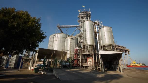 Timelapse van lossing grain camions bij lift op verheffende hydraulische platform losser. Graan gewassen overlading op grote zee terminal in seaport. Snelle logictics concept. — Stockvideo