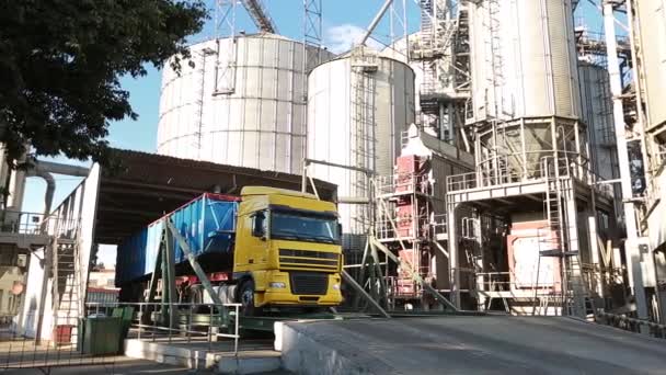 Panorama van lossing grain camions bij lift op verheffende hydraulische platform losser. Graan gewassen overlading op grote zee terminal in seaport. Snelle logictics concept. — Stockvideo