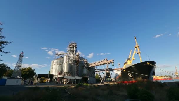 Panorama de terminal de grano en puerto en día soleado. Transbordo a granel de cereales al buque que carga cultivos de cereales a granel desde grandes ascensores en el atraque. Transporte de productos agrícolas . — Vídeos de Stock