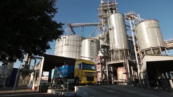 Panorama der Entladung von Getreide-LKWs am Aufzug auf der hydraulischen Hebebühne Entlader. Getreideumschlag am großen Seeterminal im Seehafen. Schnelles Logistikkonzept. — Stockvideo
