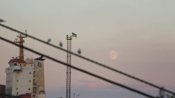 Selektiver Fokus von Möwen auf dem Seil im Hafen bis zum Frachtschiff, undichte schäbige ukrainische Flagge schwenkend und Mond im Hintergrund. Möwen sitzen abends im Seehafen an der Leine. — Stockvideo