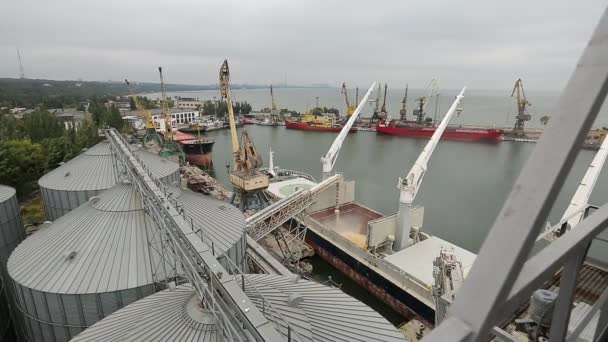 Panorama of ship loading grain crops on bulk freighter via trunk to open cargo holds at silo terminal in seaport. Cereals bulk transshipment to vessel. Transportation of agricultural products. — Stock Video