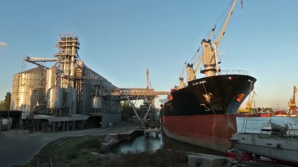 Panorama de terminal de grano en puerto marítimo en la tarde soleada. Transbordo a granel de cereales al buque que carga cultivos de cereales a granel desde grandes ascensores en el atraque. Transporte de productos agrícolas — Vídeo de stock