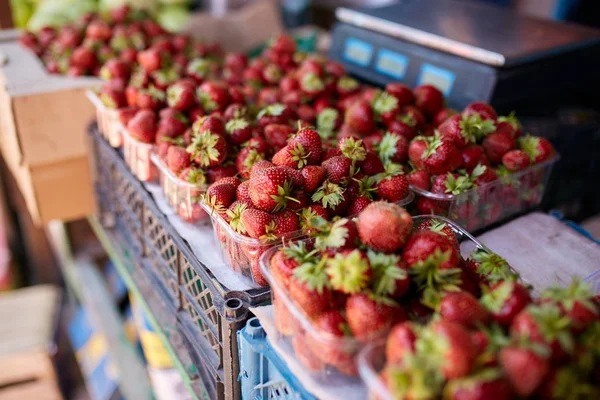 Strawberry on a farm market in the city. Fruits and vegetables at a farmers summer market. — Stock Photo, Image