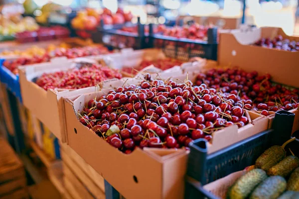 Sweet cherry on a farm market in the city. Fruits and vegetables at a farmers market. Cherries in boxes and trays — Stock Photo, Image