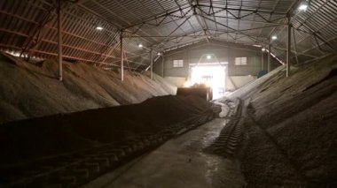 Tarımsal ürün büyük depolama tesisine. Teleskopik işleyicisi, çalışma kepçe ile toplu stok kaplı. Telehandler değirmen depo, tahıl işleme kepçe ile. Tarımsal lojistik kavramı.