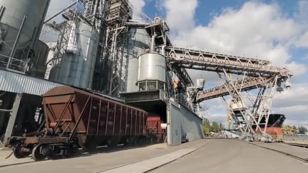 Godståg med jordbruksgrödor som lasttransfer flyttar på stora grain terminal nära havet. Lossning spannmål från järnvägsvagn till hiss. Spannmålssilo transshipment anläggning hub. — Stockvideo