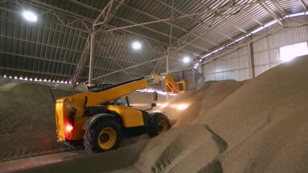 Huge storage facility of agricultural crops. Telescopic handler with ladle working at covered bulk stock. Telehandler with grab processing grain at mill storehouse. Agro logistics concept. — Stock Video