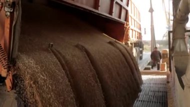 Asansör boşaltma tahıl kamyonlara görünümü Kapat üzerinde yükselen hidrolik platform boşaltma. Tahıl büyük denizde aktarma limanı, terminal kırpar. Tahıl silosu aşağı yağıyor.