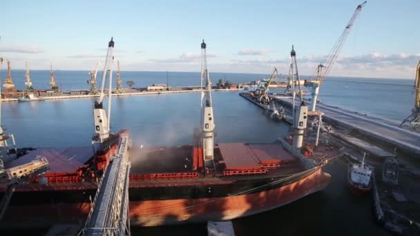 Fermer pPtrunk pour ouvrir des cales à cargaison au terminal du silo dans le port maritime. Transbordement en vrac de céréales vers le navire. Transport de produits agricoles . — Video