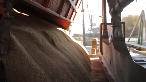 Weergave van lossing grain camions bij lift op verheffende hydraulische platform losser sluit. Graan gewassen overlading op grote zee terminal in seaport. Graan is gieten tot silo. — Stockvideo