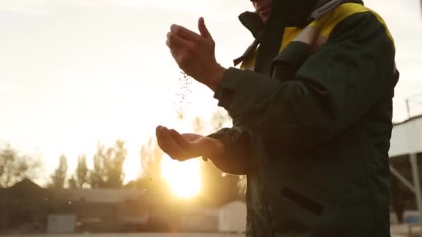 Primer plano de tiro de manos de granjero adulto sosteniendo grano de trigo en la luz del atardecer caliente. El grano tamiza a través de los dedos. Las manos masculinas agrónomas esparcen grano en cámara lenta al amanecer. concepto de cosecha rica . — Vídeos de Stock