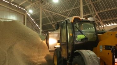 10 Eylül, 2016, depolama tesisi Mariupol, Ukraine, Ukrtransagro Llc. Tarım bitkileri. Teleskopik işleyicisi, çalışma kepçe ile toplu stok kaplı. Tahıl işleme kepçe ile Telehandler.