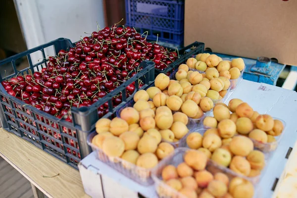 Sweet cherry and apricot on a farm market in the city. Fruits and vegetables at a farmers market. Cherries in boxes and trays — Stock Photo, Image