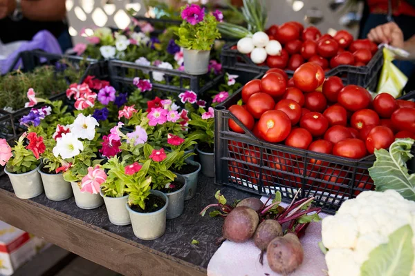 Fresh organic vegetables and fruits on sale at the local farmers summer market outdoors. Healthy organic food concept. Madagascar periwinkle flowers in pots on sale. — Stock Photo, Image