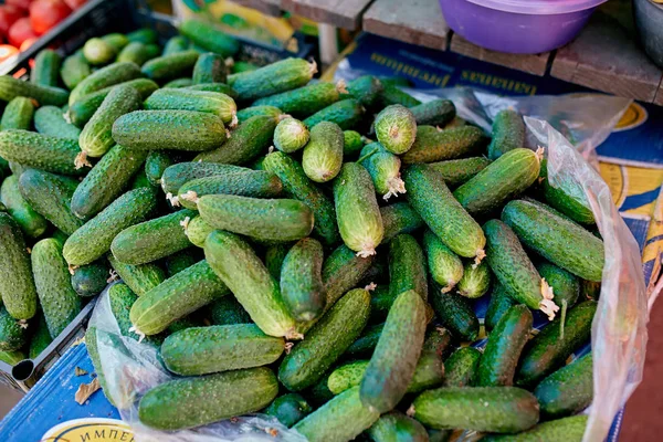 Cucumber. Fresh organic vegetables on sale at the local farmers summer market outdoors. Healthy organic food concept. — Stock Photo, Image