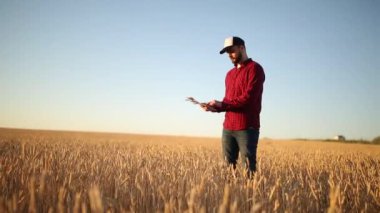 Akıllı Tarım Tarım modern teknolojileri kullanarak. Çiftçi eller touch dijital tablet bilgisayar ekran parmak apps ve Internet kullanarak buğday alanı ile. Adam kulak buğday elinde tutan.