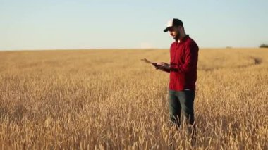 Akıllı Tarım Tarım modern teknolojileri kullanarak. Ziraat Mühendisi çiftçi tutar ve dokunmatik dijital tablet bilgisayar uygulamaları ve internet kullanma buğday alanında görüntüler. Adam kulak buğday elinde tutan.