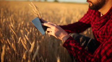 Akıllı Tarım Tarım modern teknolojileri kullanarak. Çiftçi eller touch dijital tablet bilgisayar ekran parmak apps ve Internet kullanarak buğday alanı ile. Adam kulak buğday elinde tutan.