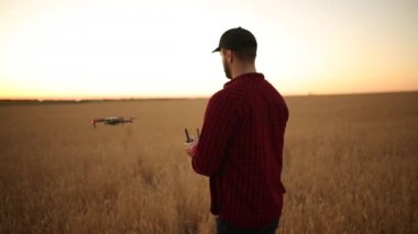 Quadcopter arka plan üzerinde uçan iken Çiftçi elleri ile uzaktan kumanda tutar. Buğday alanında bilimsel tarım uzmanı arkasında dron hovers. Tarım yeni teknolojiler ve yenilikler. Arkadan görünüm