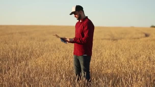 스마트 농업 농업에 현대 기술을 사용 하 여입니다. 농업 경제 학자 농부 증강된 현실 애플 리 케이 션 및 귀 사진을 찍고 인터넷을 사용 하 여 밀 필드에 디지털 터치 태블릿 컴퓨터 디스플레이 보유 하 — 비디오