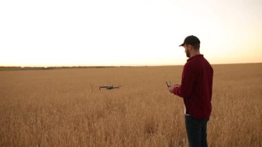 Quadcopter arka plan üzerinde uçan iken Çiftçi elleri ile uzaktan kumanda tutar. Buğday alanında bilimsel tarım uzmanı arkasında dron hovers. Tarım yeni teknolojiler ve yenilikler. Arkadan görünüm