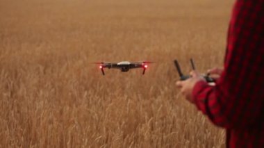 Çiftçi elleri elleri ile uzaktan kumanda tutarken quadcopter arka plan üzerinde uçuyor. Buğday alanında bilimsel tarım uzmanı arkasında dron hovers. Tarım yeni teknolojiler ve yenilikler. Arkadan görünüm