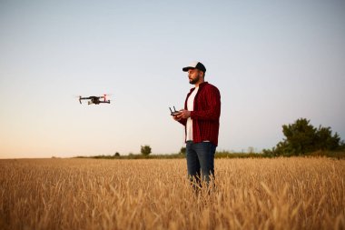 Quadcopter arka plan üzerinde uçan iken Çiftçi elleri ile uzaktan kumanda tutar. Buğday alanında bilimsel tarım uzmanı arkasında dron hovers. Tarım yeni teknolojiler ve yenilikler. Arkadan görünüm