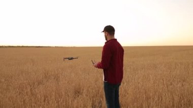 Quadcopter arka plan üzerinde uçan iken Çiftçi elleri ile uzaktan kumanda tutar. Drone buğday alan için uçar. Tarım yeni teknolojiler ve yenilikler. Arkadan görünüm