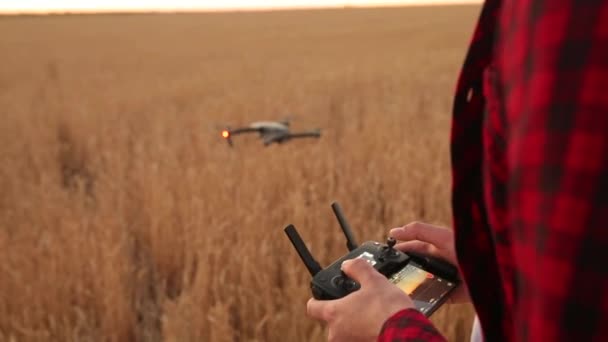Farmář ruce držte dálkový ovladač s rukama a quadcopter pluje na pozadí. DRONY stoupá za agronom v pšeničné pole. Zemědělské nové technologie a inovace. Zpět — Stock video