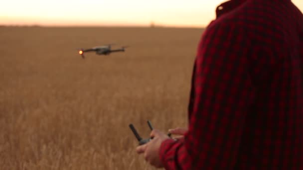 Las manos del granjero sostienen el mando a distancia con sus manos mientras el quadcopter vuela sobre el fondo. Drone se cierne detrás del agrónomo en el campo de trigo. Nuevas tecnologías e innovaciones agrícolas. Vista trasera — Vídeos de Stock