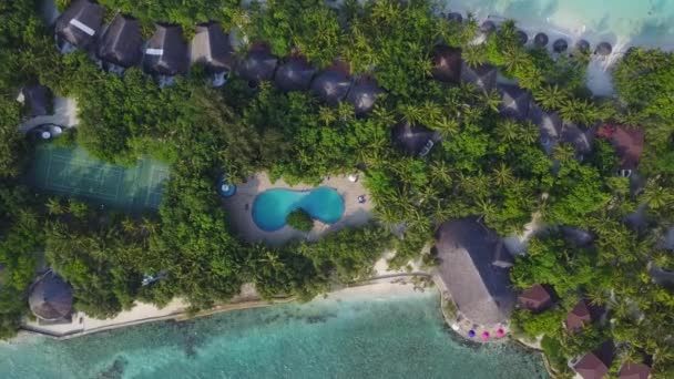 Vista superior de la isla de Maldivas, la cámara está descendiendo a la piscina en un hotel de lujo. Vídeo aéreo de resort con muchas palmeras, bungalows, playa y océano Índico. Vista desde arriba — Vídeos de Stock